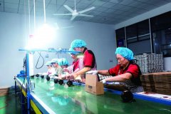 摸索了一条“优化扶植、政策护航、财产提级理