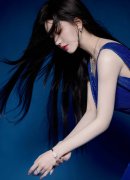 搭客能够鲸、看企鹅归巢